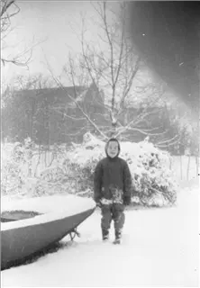 small_jerry 2017-381.webp